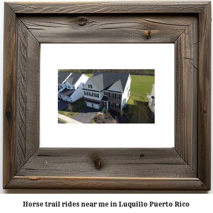 horse trail rides near me in Luquillo, Puerto Rico